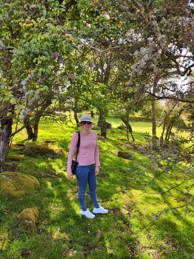 Kleine Schärensafari auf Bockö